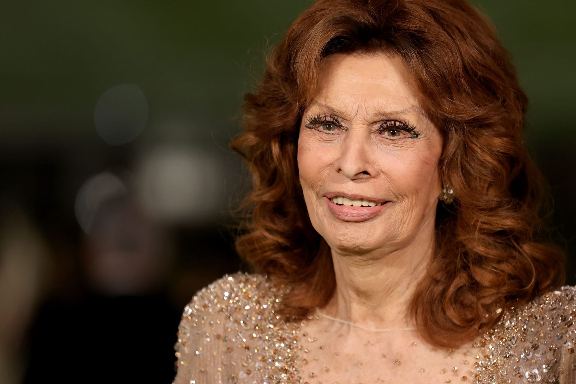 Sophia Loren: Die Schauspielerin hat sich bei einem Sturz Verletzungen zugezogen.