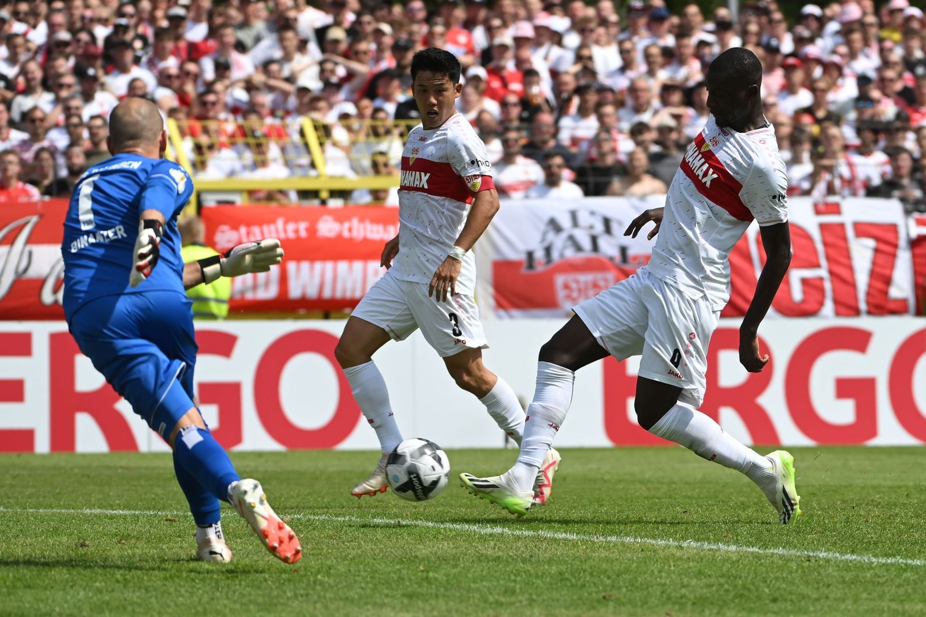 TSG Balingen - VfB Stuttgart