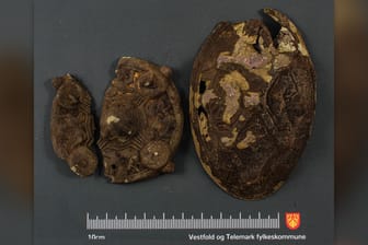 Eine ovale und eine runde Wikinger-Brosche wurden in einem Garten in Norwegen gefunden.
