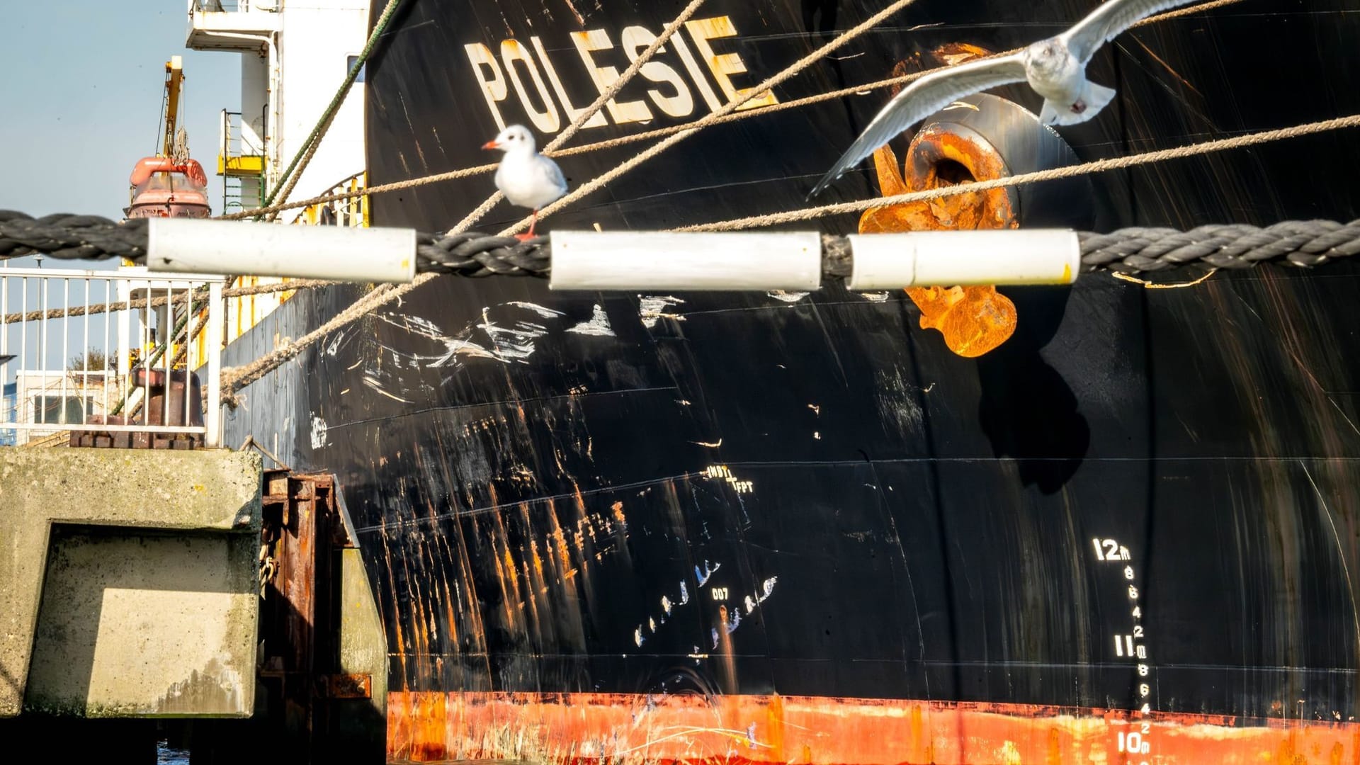Suche nach vier vermissten Seeleuten in Nordsee eingestellt Suche nach vier vermissten Seeleuten in Nordsee eingestellt