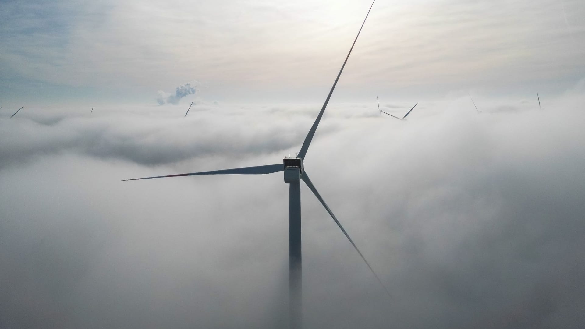 Windpark Windpark