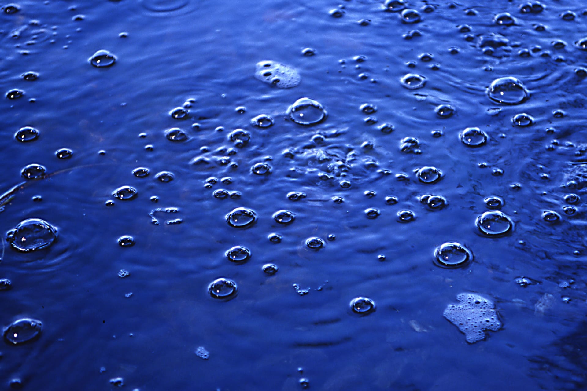 Laacher See bank area with methane bubbles