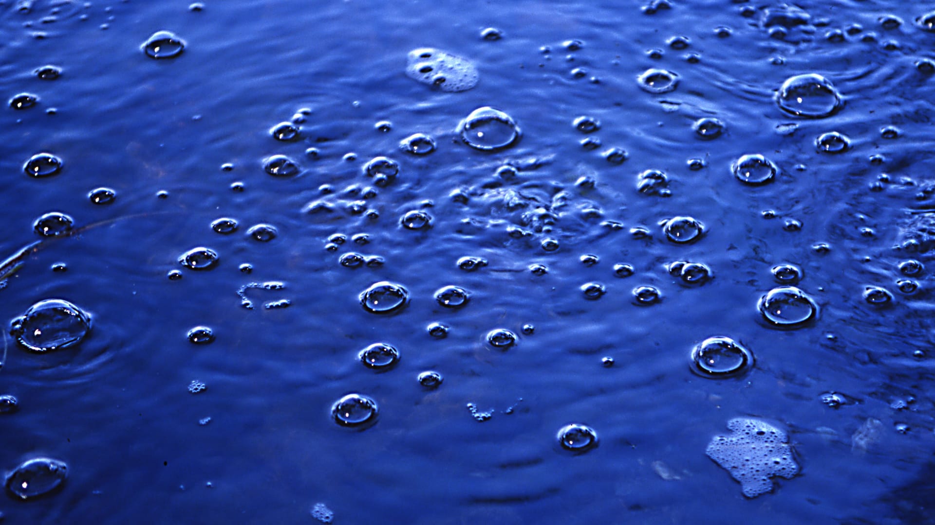 Laacher See bank area with methane bubbles