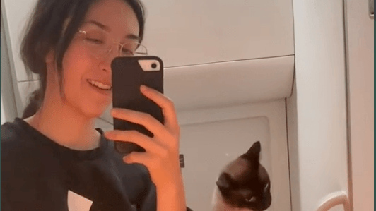 Tiktokerin "Wifiadventure" filmt sich mit ihrer Katze in einer Flugzeugtoilette.