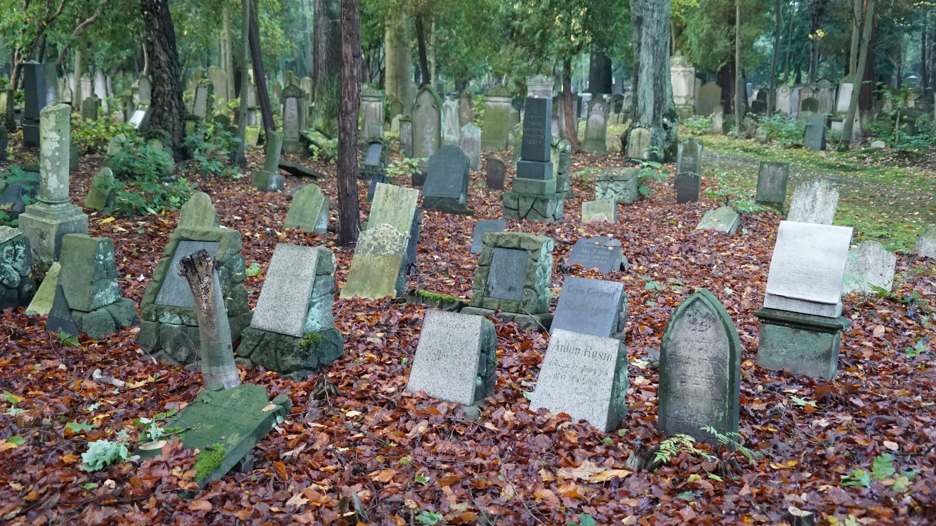 Gräber auf dem jüdischen Friedhof in Ohlsdorf. Der Friedhof in Ohlsdorf ist derzeit geschlossen.