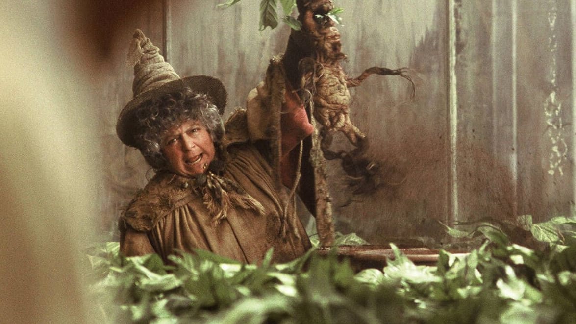 Miriam Margolyes: In den "Harry Potter"-Filmen spielte sie Professor Sprout.