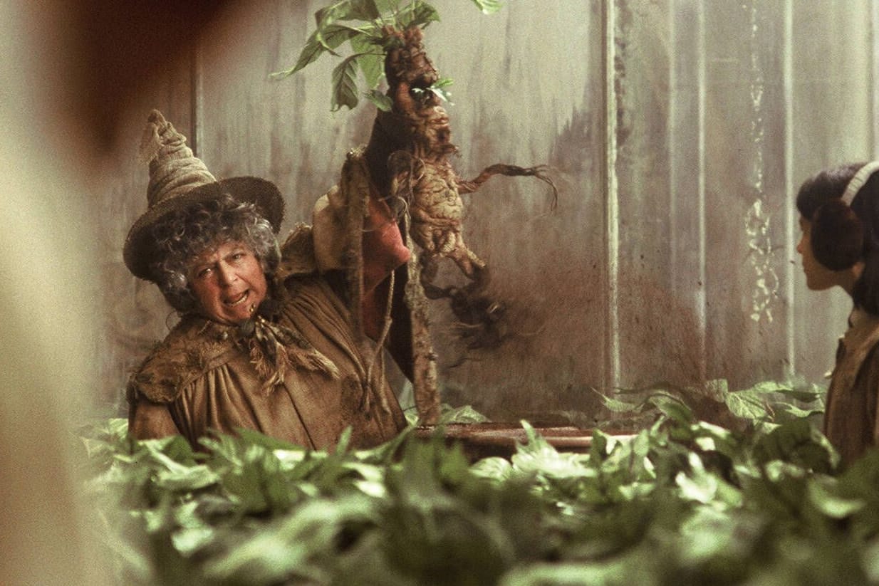 Miriam Margolyes: In den "Harry Potter"-Filmen spielte sie Professor Sprout.