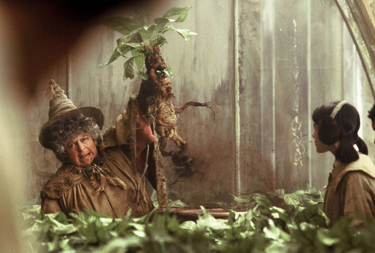 Miriam Margolyes: In den "Harry Potter"-Filmen spielte sie Professor Sprout.