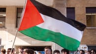 Pro-palästinensische Demo in Duisburg – Hundertschaft der Polizei im Einsatz