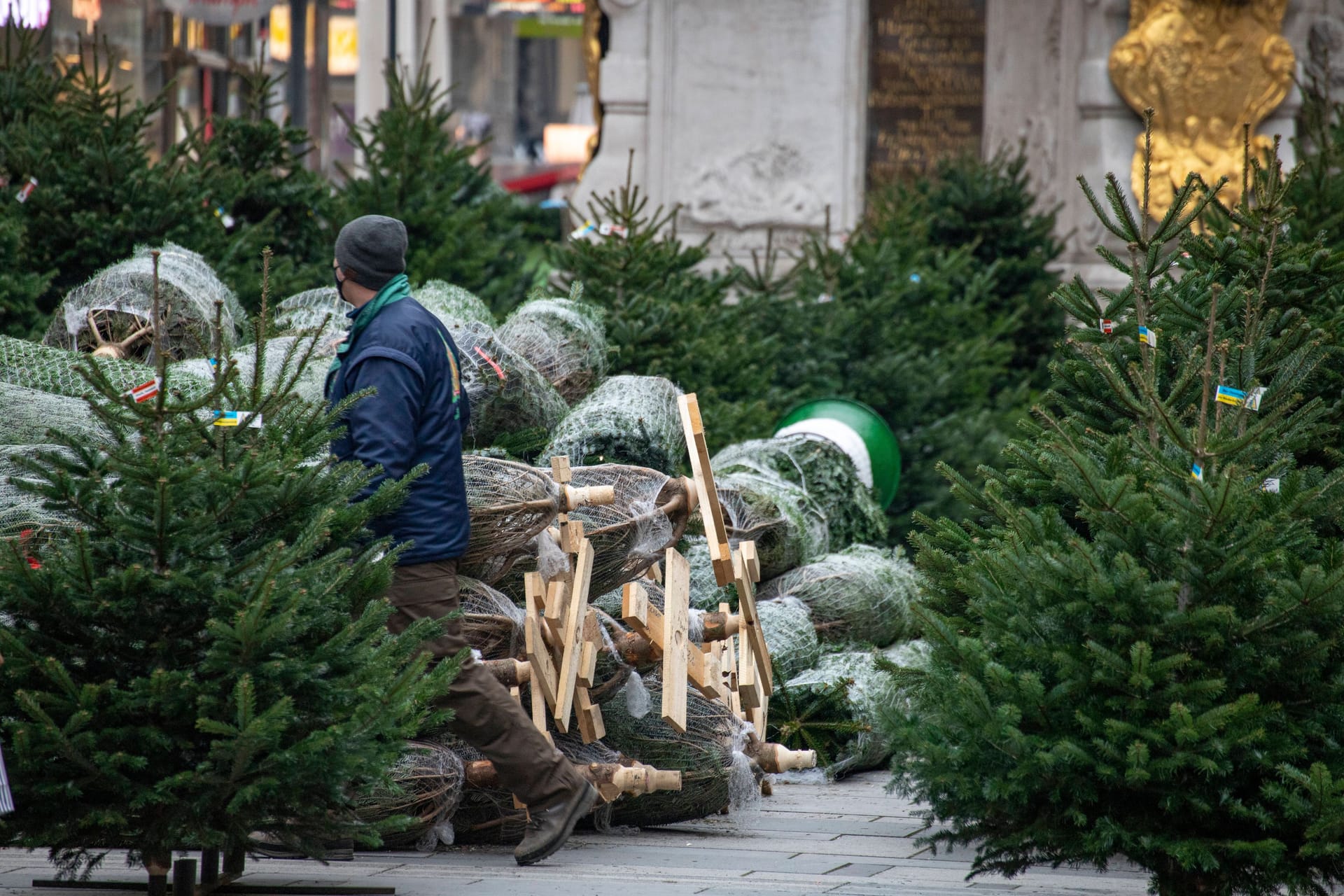 Weihnachtsbäume stehen zum Verkauf: Dieses Jahr muss man tiefer in die Tasche greifen.