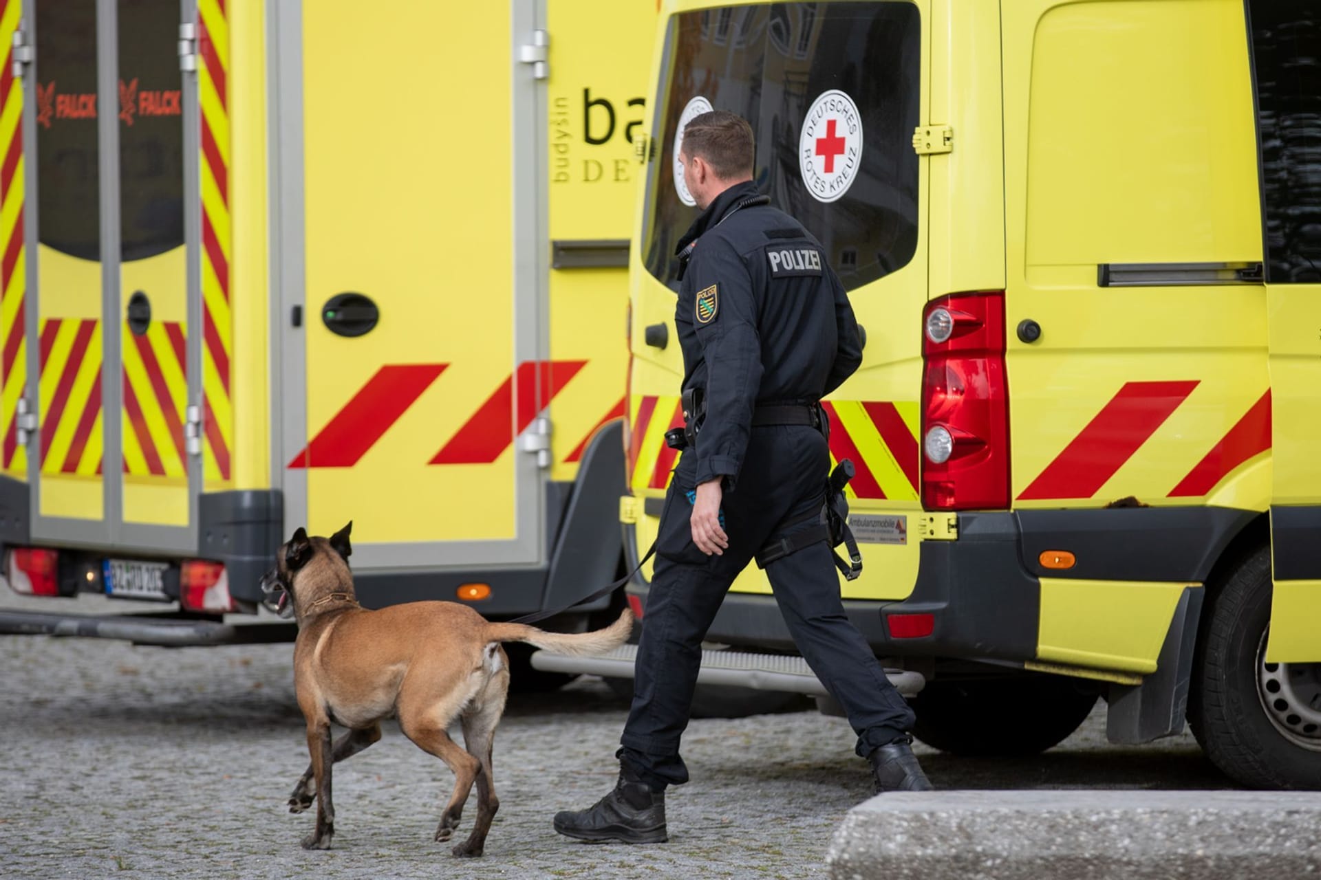 Polizist läuft mit Hund vor Krankenwägen: Drohungen gegen eine Schule in Sachsen haben den Sprengstoffspürhund auf den Plan gerufen.