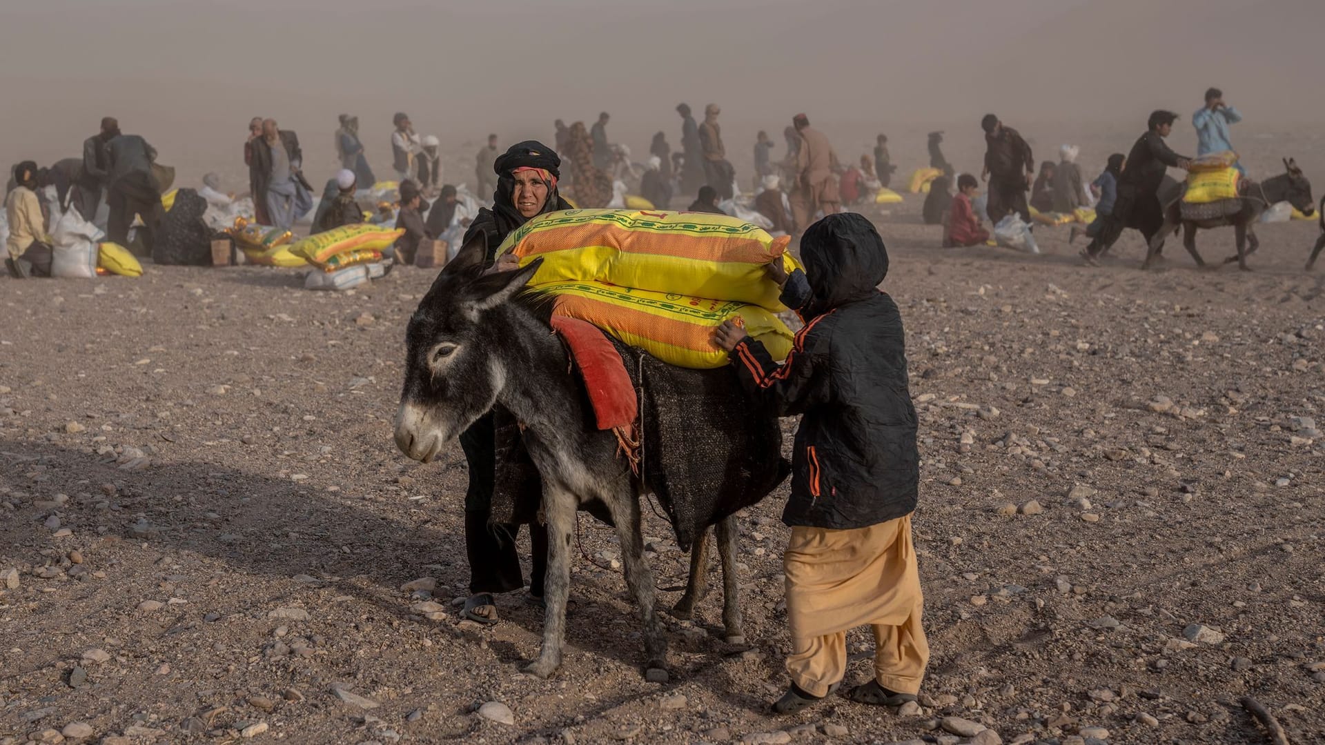 Afghanistan Earthquake