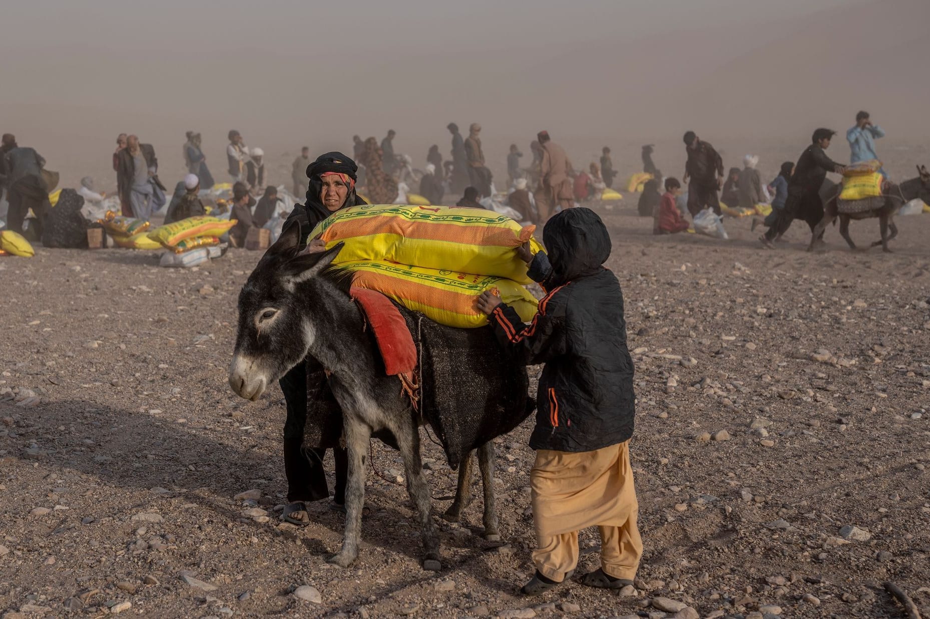 Afghanistan Earthquake