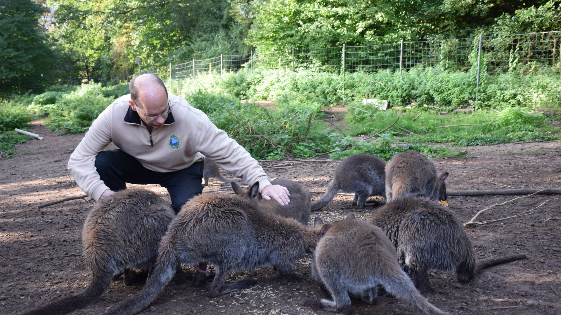 Die Kängurus lassen sich zwar streicheln, dennoch sind schon ein paar ausgebüxt.