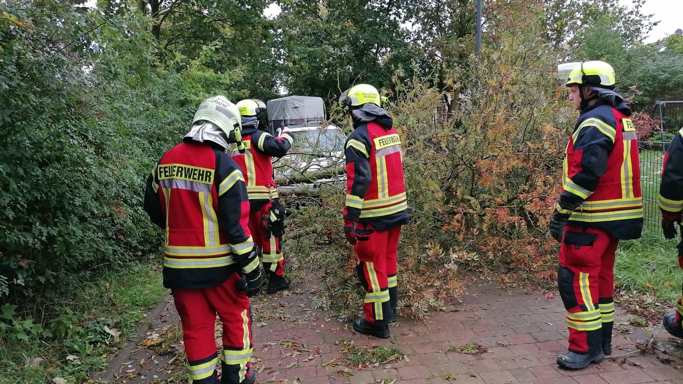 Viele Einsätze: Feuerwehrkräfte befreien die Fahrbahn in Malchow von umgestürzten Bäumen.