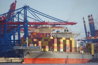 Containerfrachter im Hamburger Hafen (Symbolbild): Der Bund erwartet neue Rekordmengen bei Sicherstellungen von Kokain