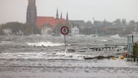 Sturmflut an der Ostsee: Zwei Rinder ertrinken bei Stralsund | Newsblog