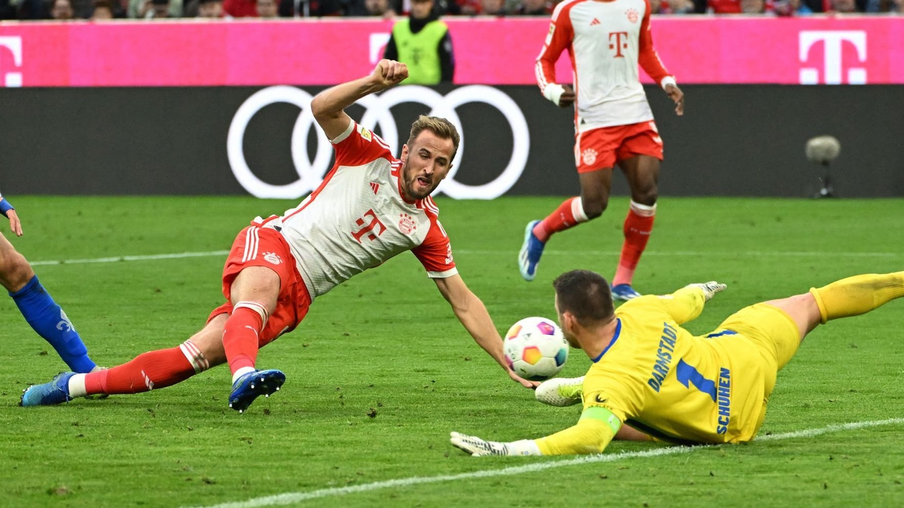 Einmal mehr in Gala-Form: Harry Kane im Spiel gegen Darmstadt.