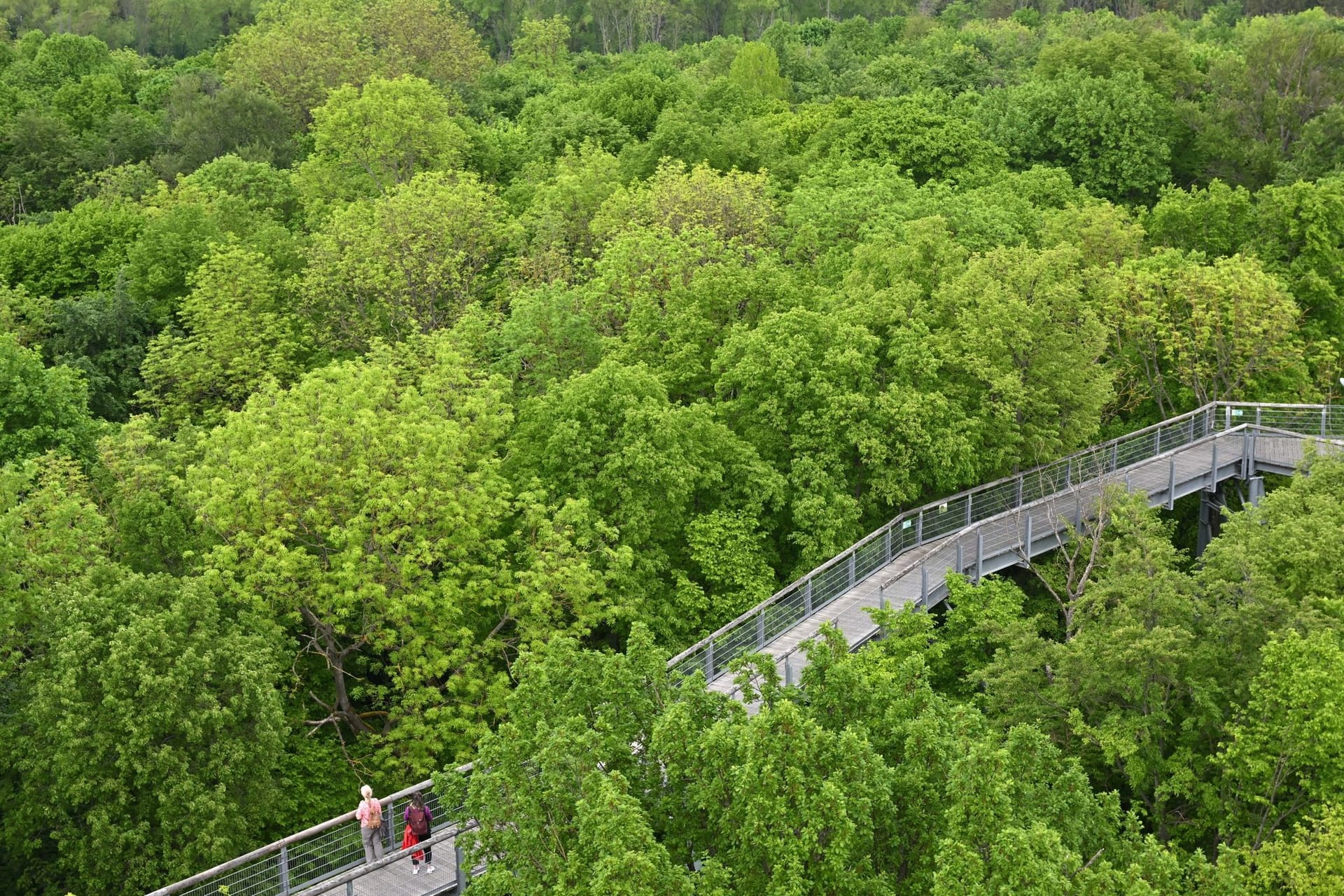 Nationalpark Hainich