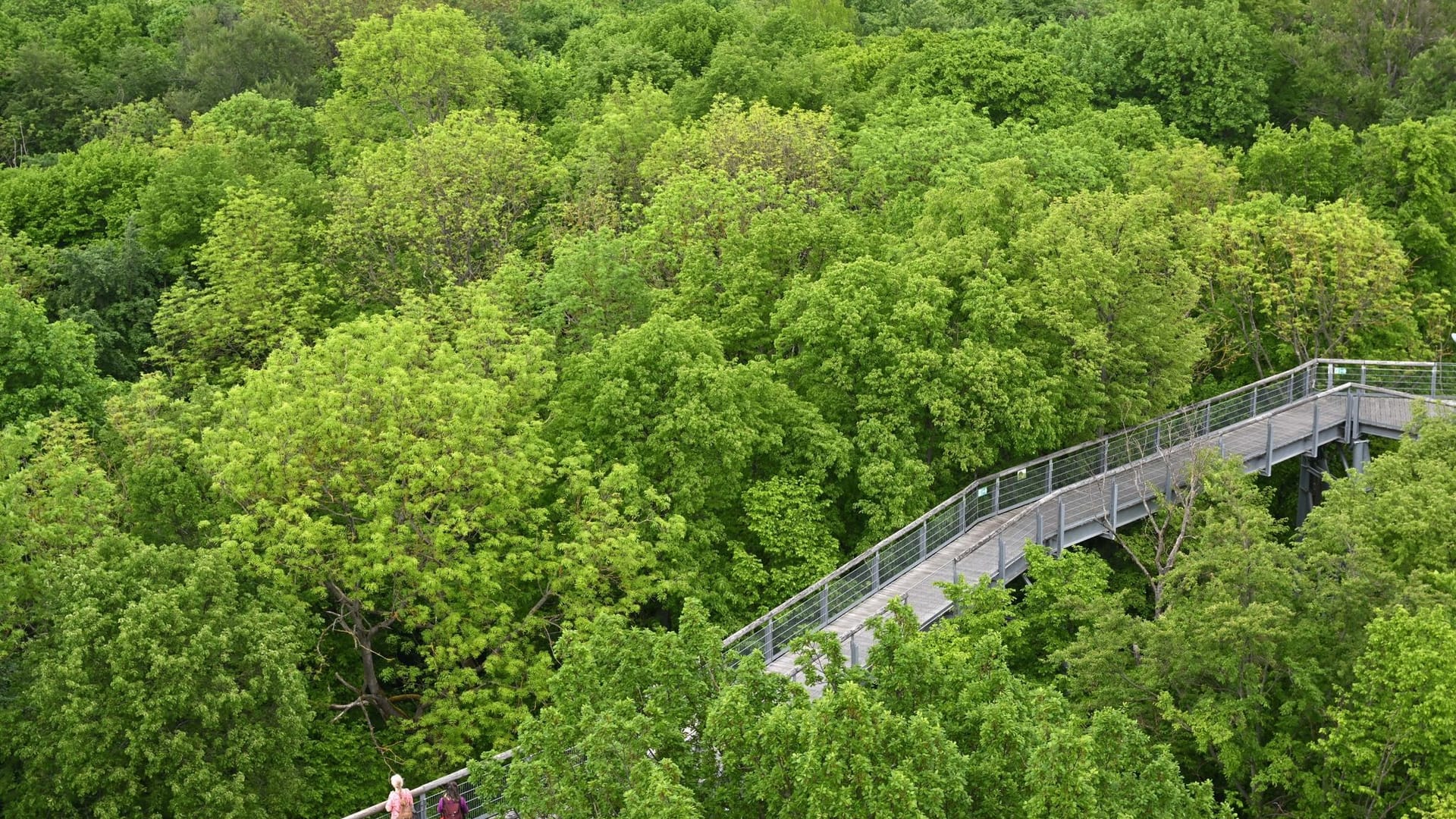 Nationalpark Hainich