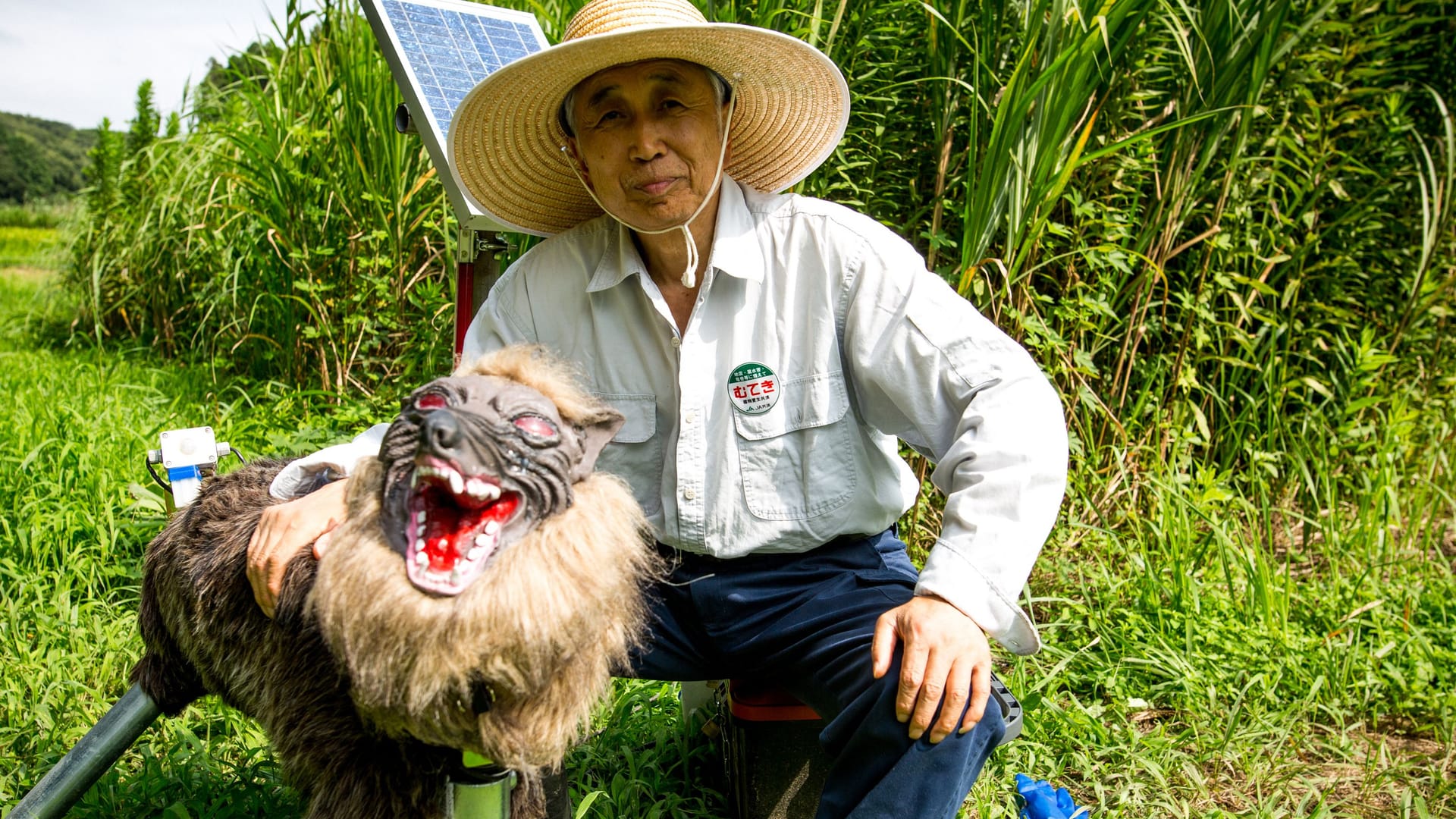 Ein Bauer mit einem "Super Monster Wolf" (Archivbild): Ursprünglich sollten sie Wildtiere von Feldern abhalten.