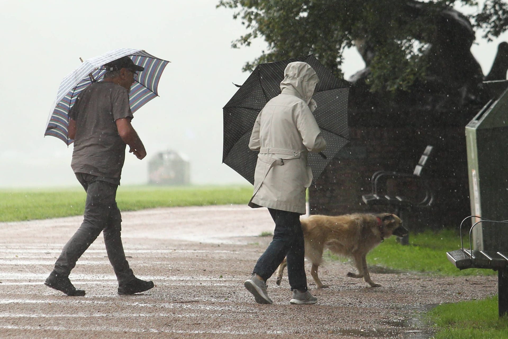 Zwei Personen bei Regen und Wind (Archivbild): Rund um Hamburg ist am Feiertag mit Sturm zu rechnen.