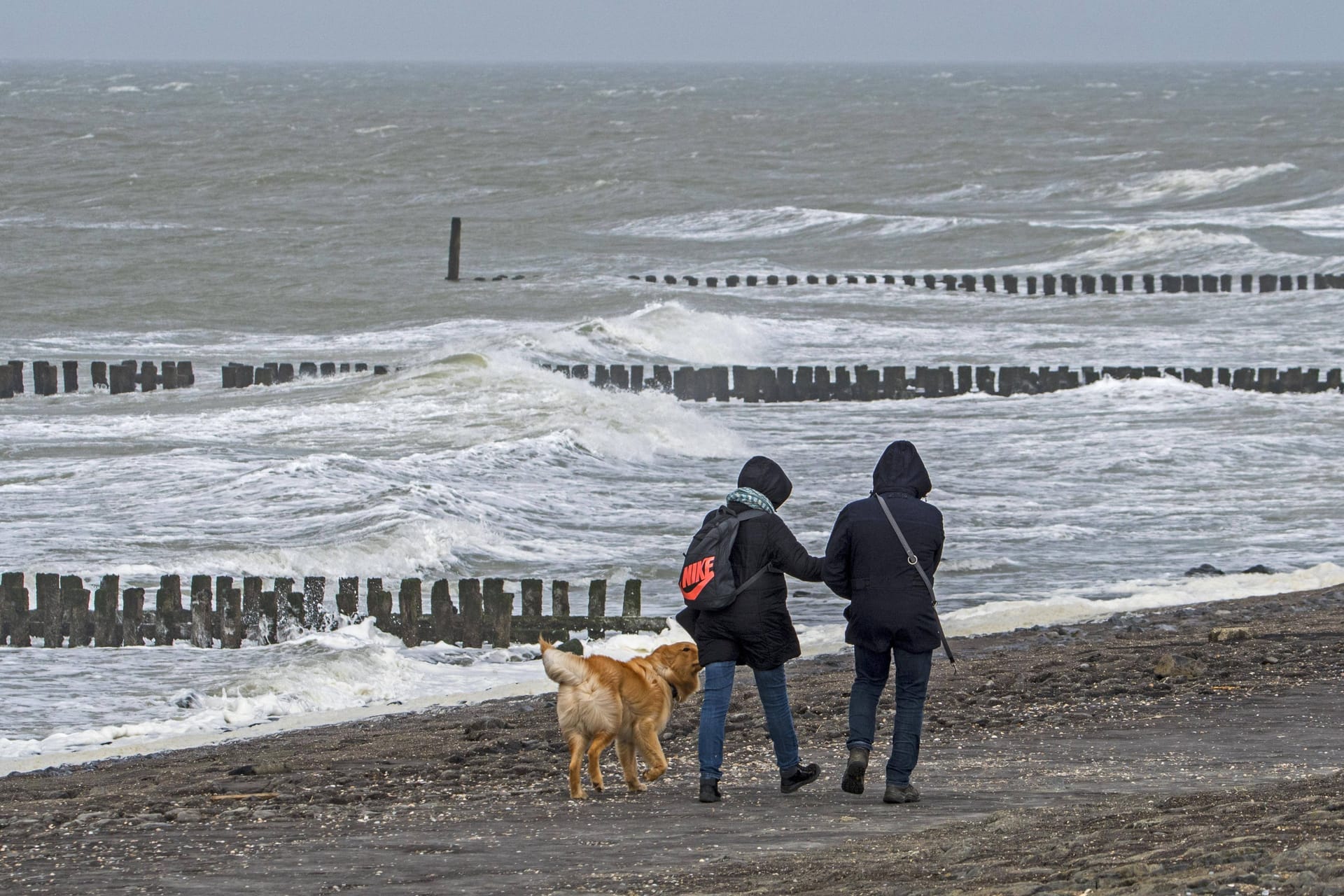 Ehepaar mit Hund an der Nordseeküste (Symbolfoto): Ob das Schlechtwetter den Vierbeinern gefällt?