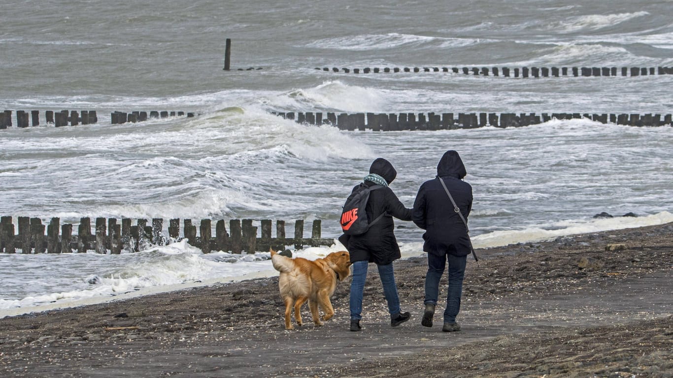 Ehepaar mit Hund an der Nordseeküste (Symbolfoto): Ob das Schlechtwetter den Vierbeinern gefällt?