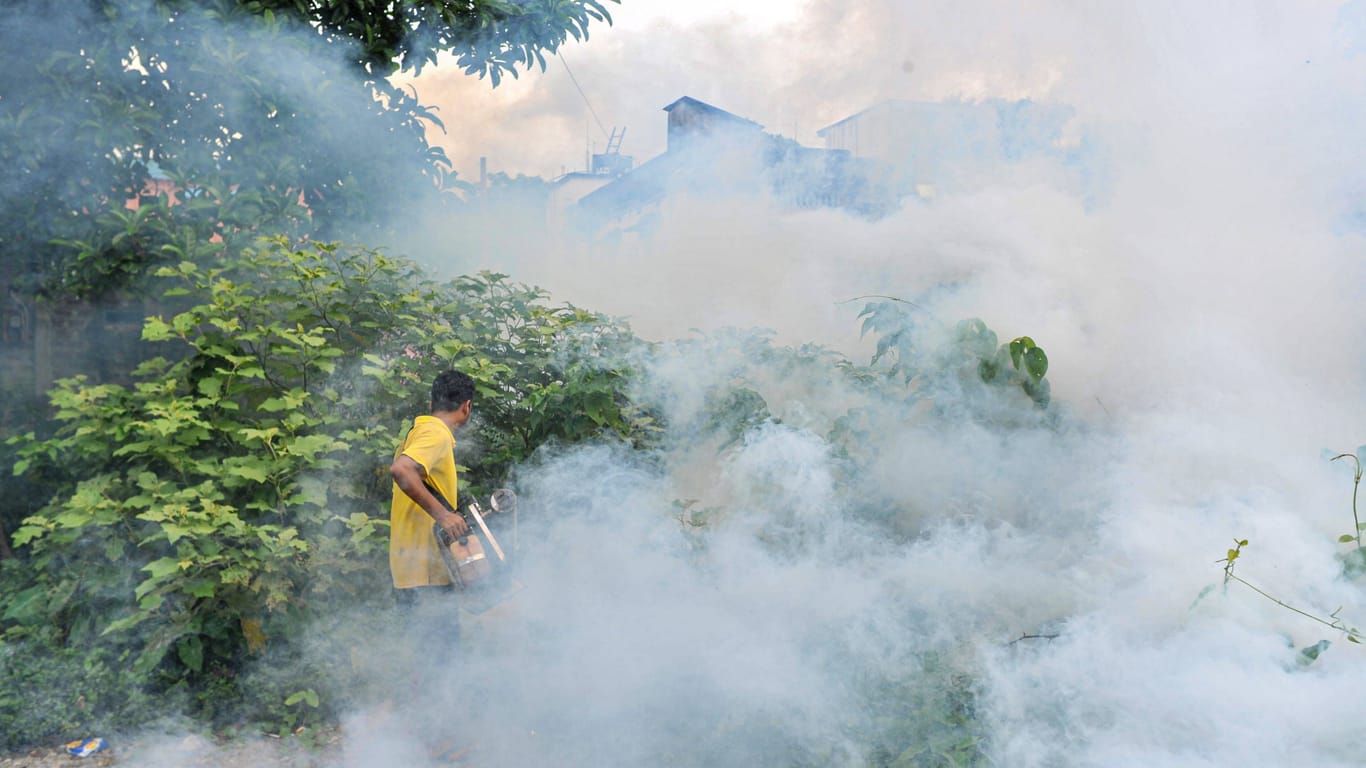 Ein Mitarbeiter des örtlichen Gesundheitsamtes in Sylhet versucht, die Stechmücken, die das Denguefieber übertragen, mit einem Mückenschutzmittel zu vernichten. (Archivbild)