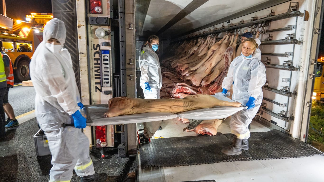 Ein mit 15 Tonnen Schweinehälften beladender Lastwagen ist auf der A3 in Mittelfranken umgekippt.