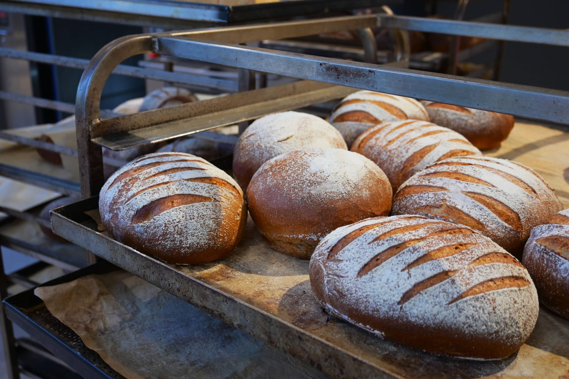 Brot – frisch aus dem Backofen (Symbolbild): Niedersachsens populärster Bäcker hat zwei Filialen.