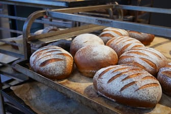 Brot – frisch aus dem Backofen (Symbolbild): Niedersachsens populärster Bäcker hat zwei Filialen.