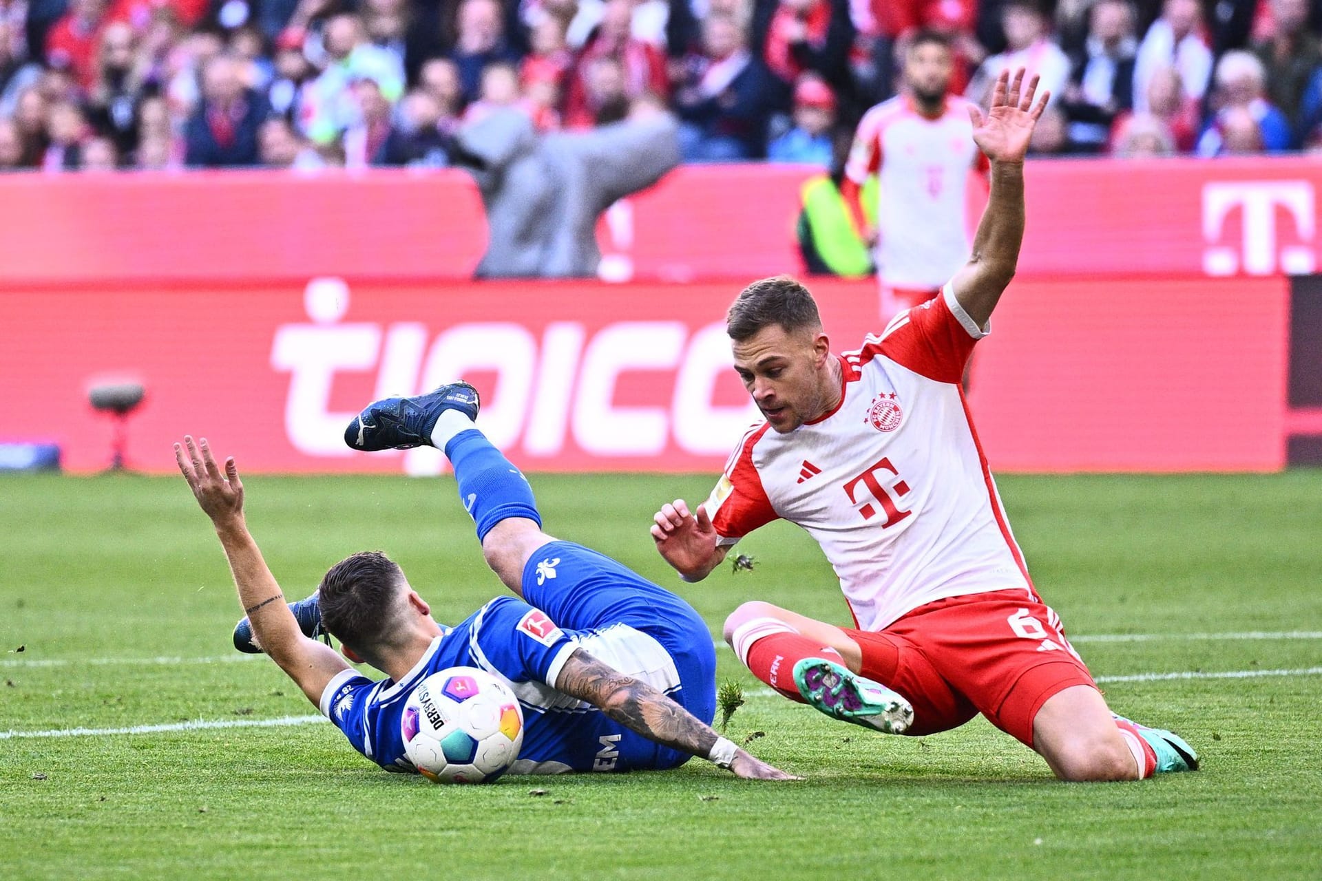 FC Bayern München - SV Darmstadt 98