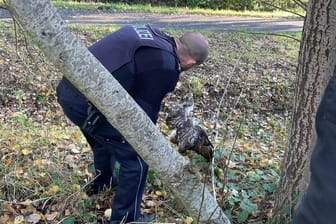 Einsatzkräfte der Bremerhavener Polizei befreien den Greifvogel aus dem Maschendrahtzaun.