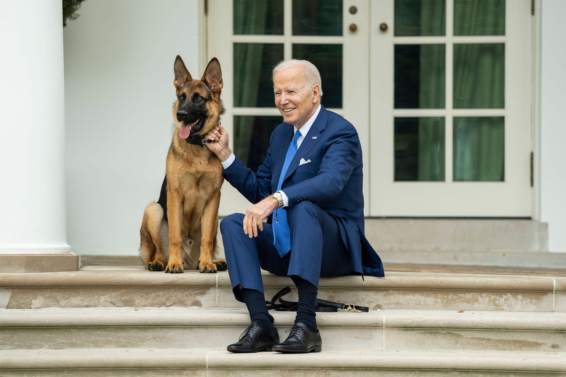 Beißwut im Hause Biden: First Dog Commander muss seinen Platz räumen (Archivbild).