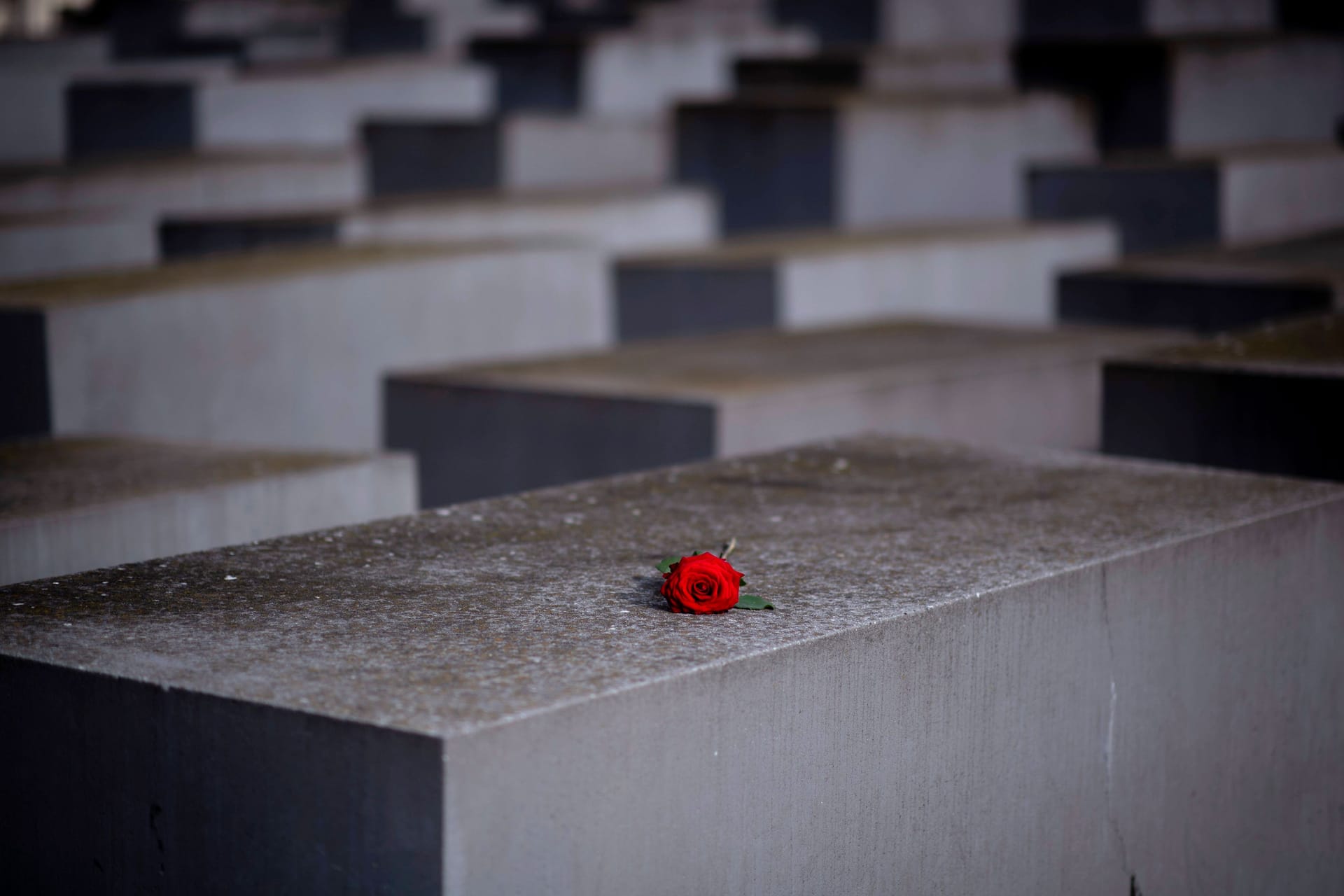 Holocaust Mahnmal in Berlin (Archivbild): Verfassungsschutzchef warnt vor Antisemitismus in Deutschland.