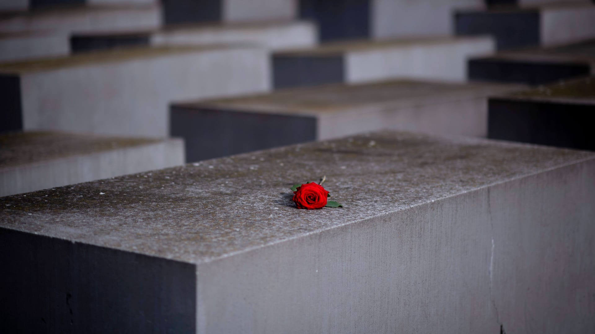 Holocaust Mahnmal in Berlin (Archivbild): Verfassungsschutzchef warnt vor Antisemitismus in Deutschland.