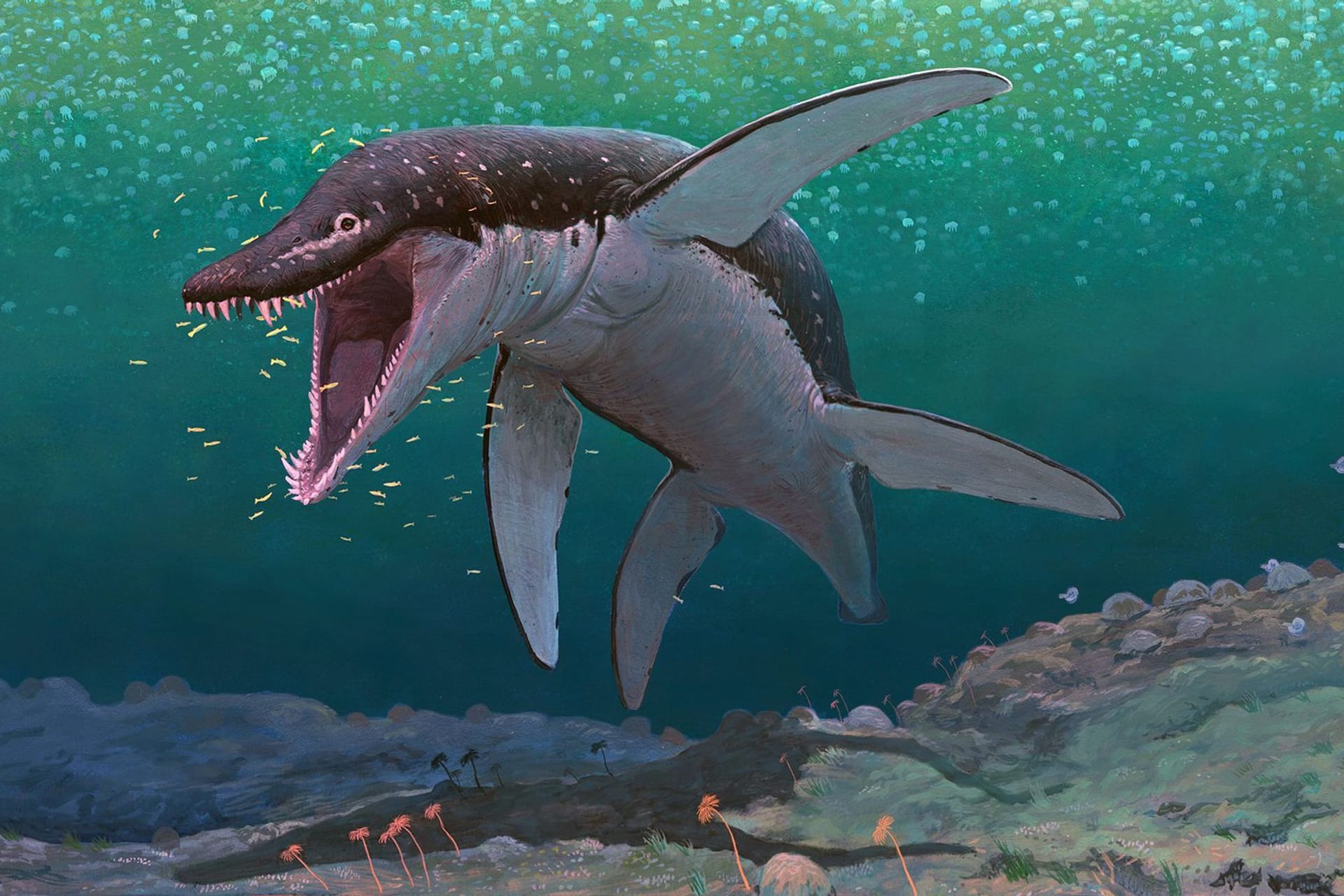 Lorrainosaurus