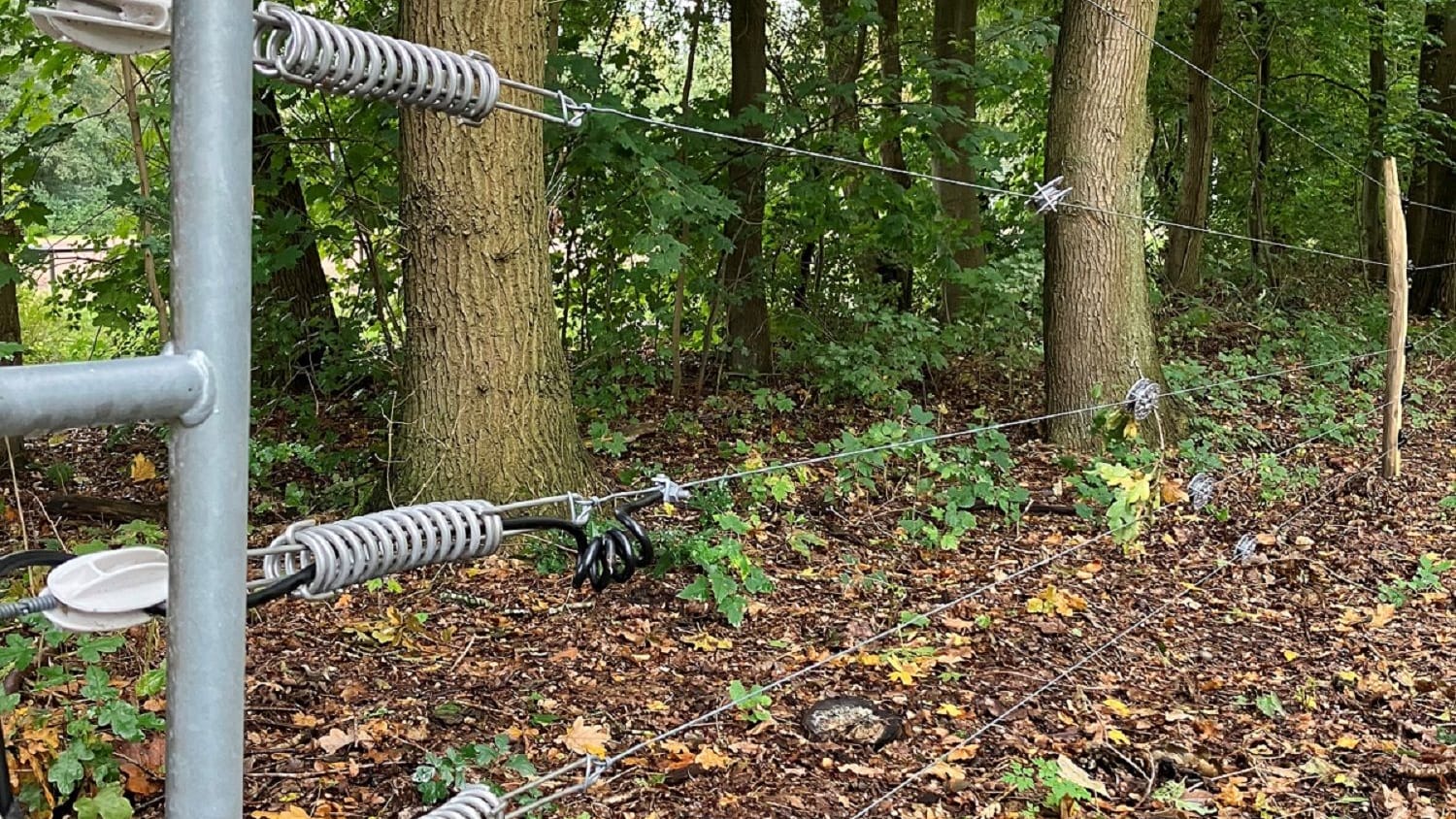 Der fünfzügige Zaun auf einer Weide von Bauer Vey führt Strom. Seine Erfahrungen mit dem Hilfsmittel sind bislang gut.