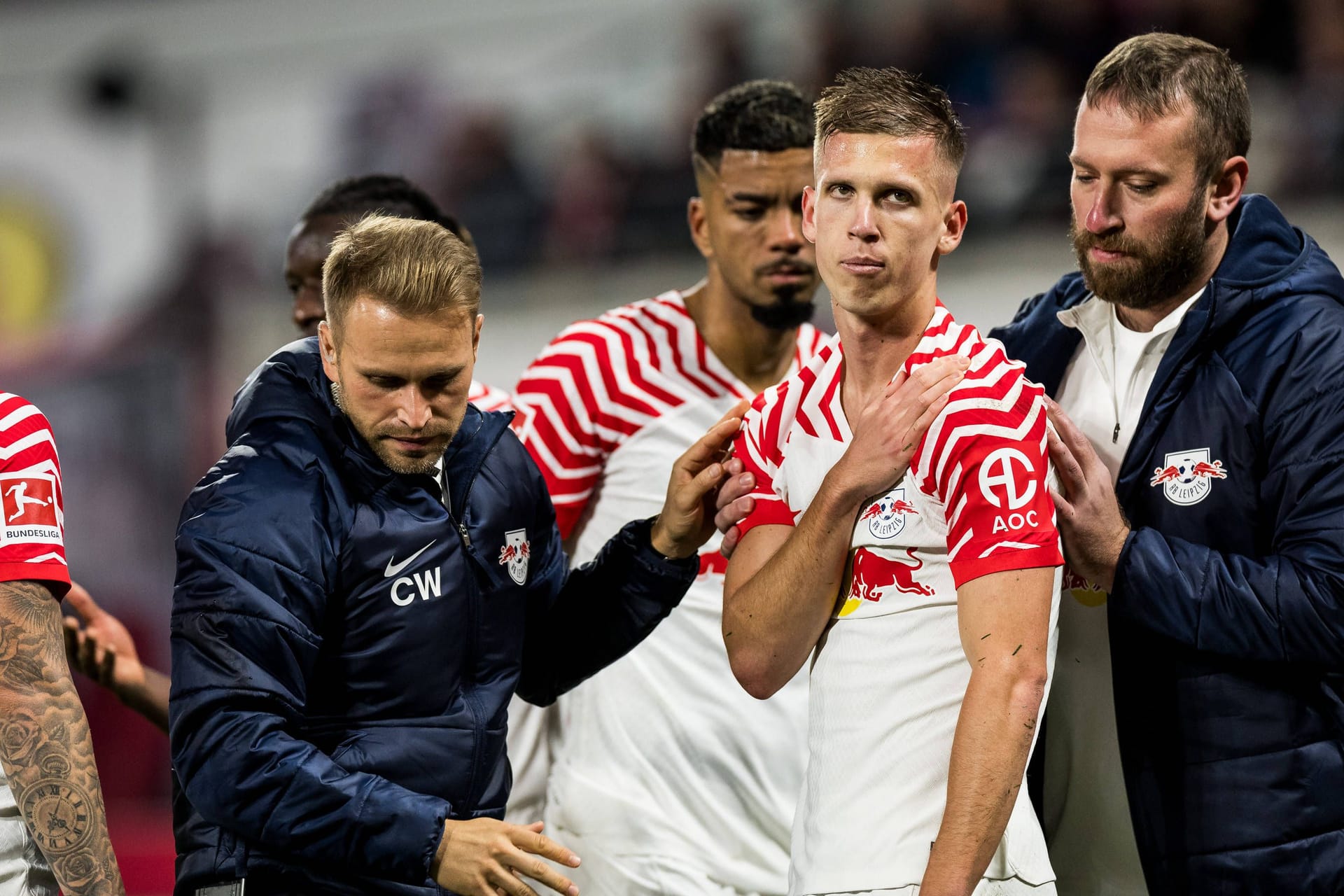 Dani Olmo: Er hat sich wohl an der Schulter verletzt.