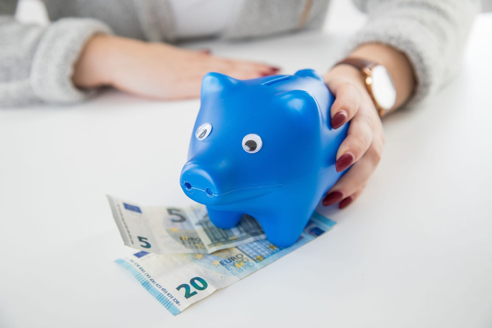 Sparschwein mit Geldscheinen Sparschwein mit Geldscheinen