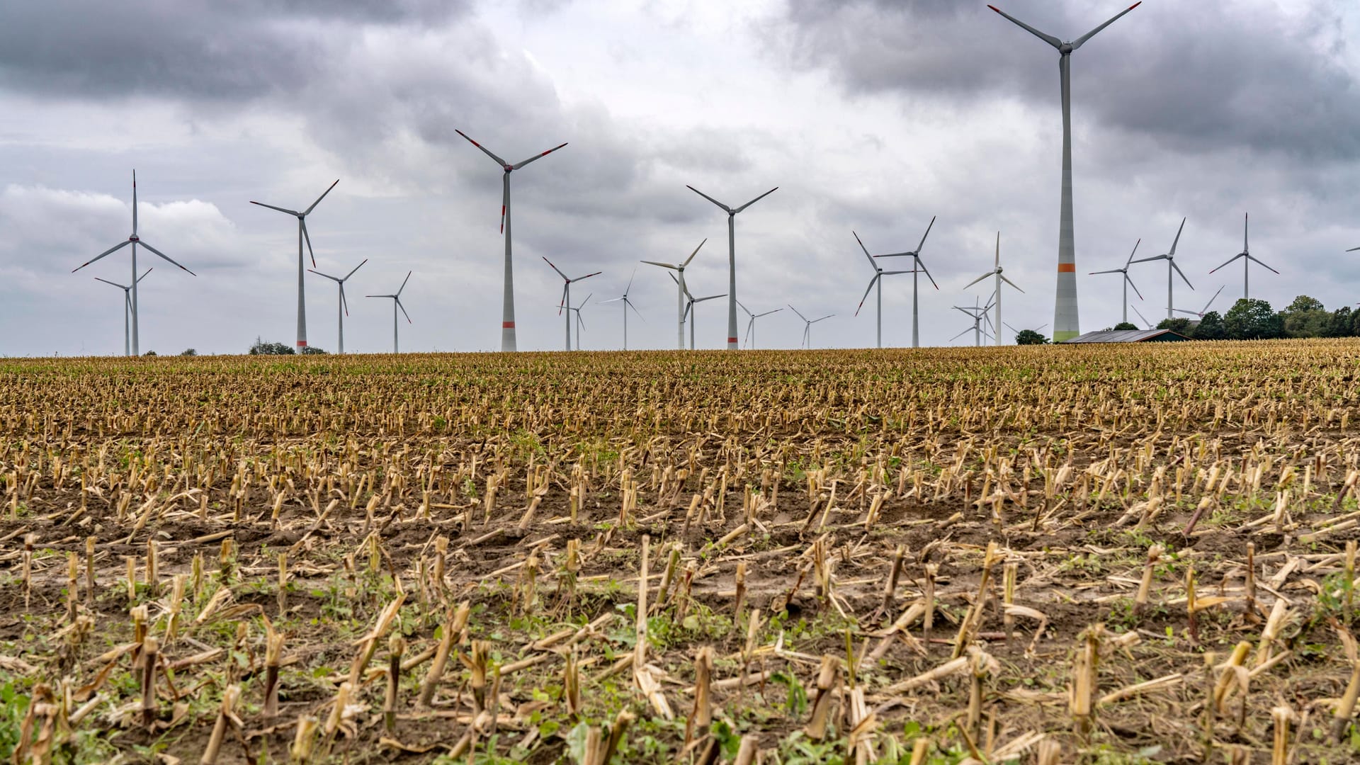 Ein Windpark (Symbolbild): Es war nicht der erste Vorfall dieser Art.