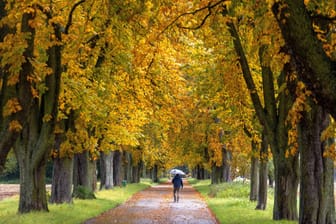 Regnerisches Wetter (Symbolbild): In weiten Teilen Deutschlands ist in den kommenden Tagen mit Regen zurechnen.