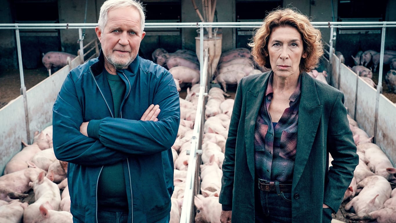 "Tatort: Bauernsterben": Moritz Eisner (Harald Krassnitzer) und Bibi Fellner (Adele Neuhauser) haben es mit einer Leiche im Schweinestall zu tun.