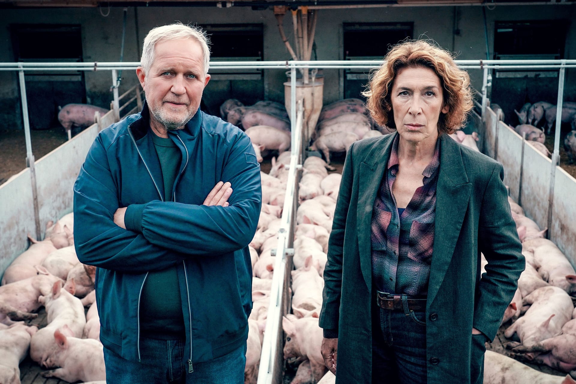 "Tatort: Bauernsterben": Moritz Eisner (Harald Krassnitzer) und Bibi Fellner (Adele Neuhauser) haben es mit einer Leiche im Schweinestall zu tun.