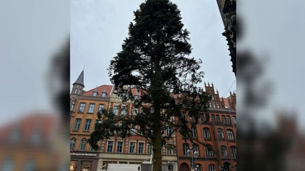 Hässliche Tanne in Hannover Stadt blamiert sich mit Weihnachtsbaum Video