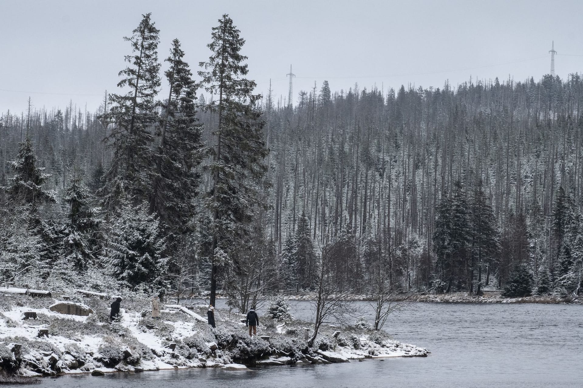 Schnee im Harz