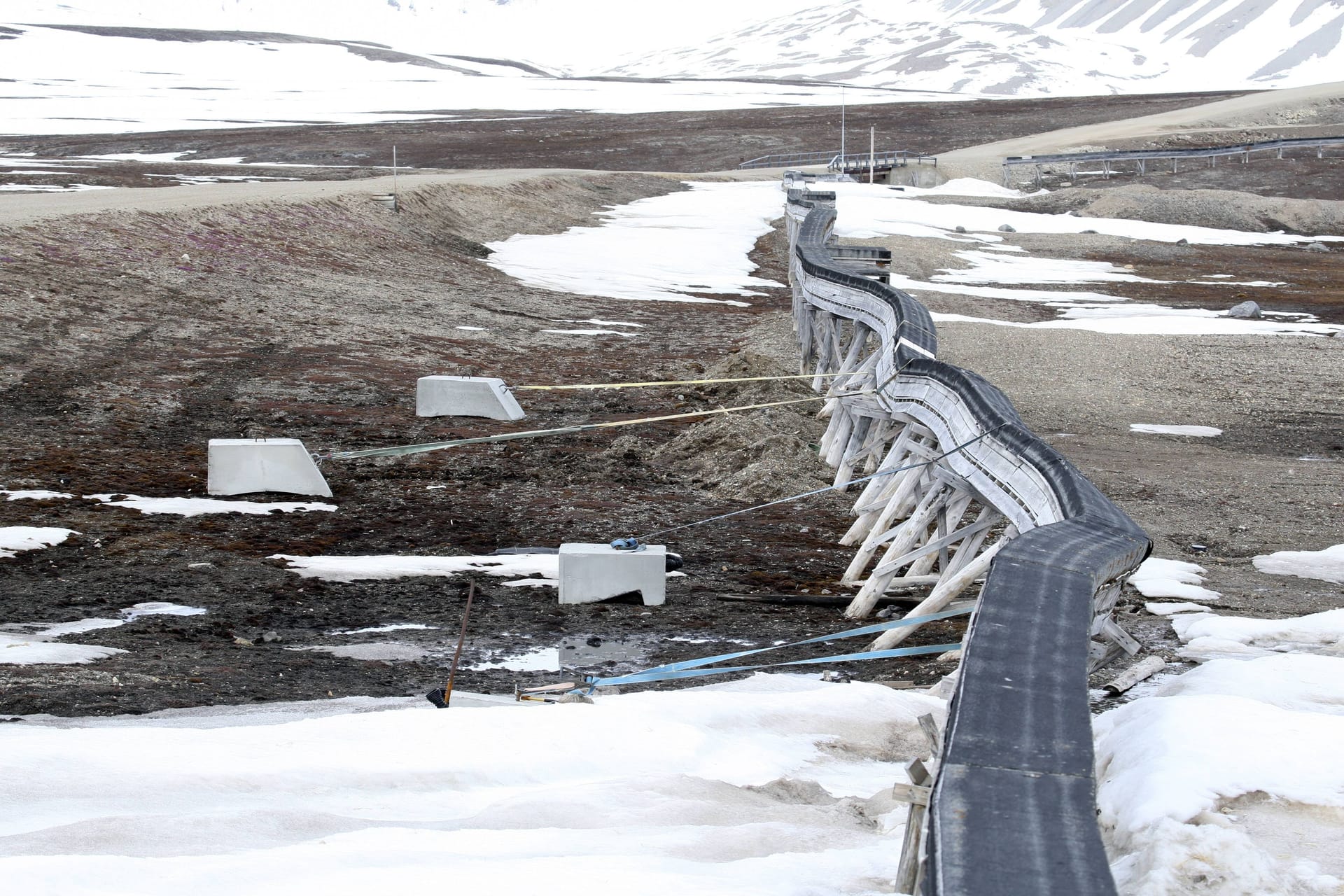 Permafrostboden in Norwegen (Archivfoto): Das Auftauen des Permafrostbodens lege nach und nach Giftstoffe frei, teilten die Forscher mit.