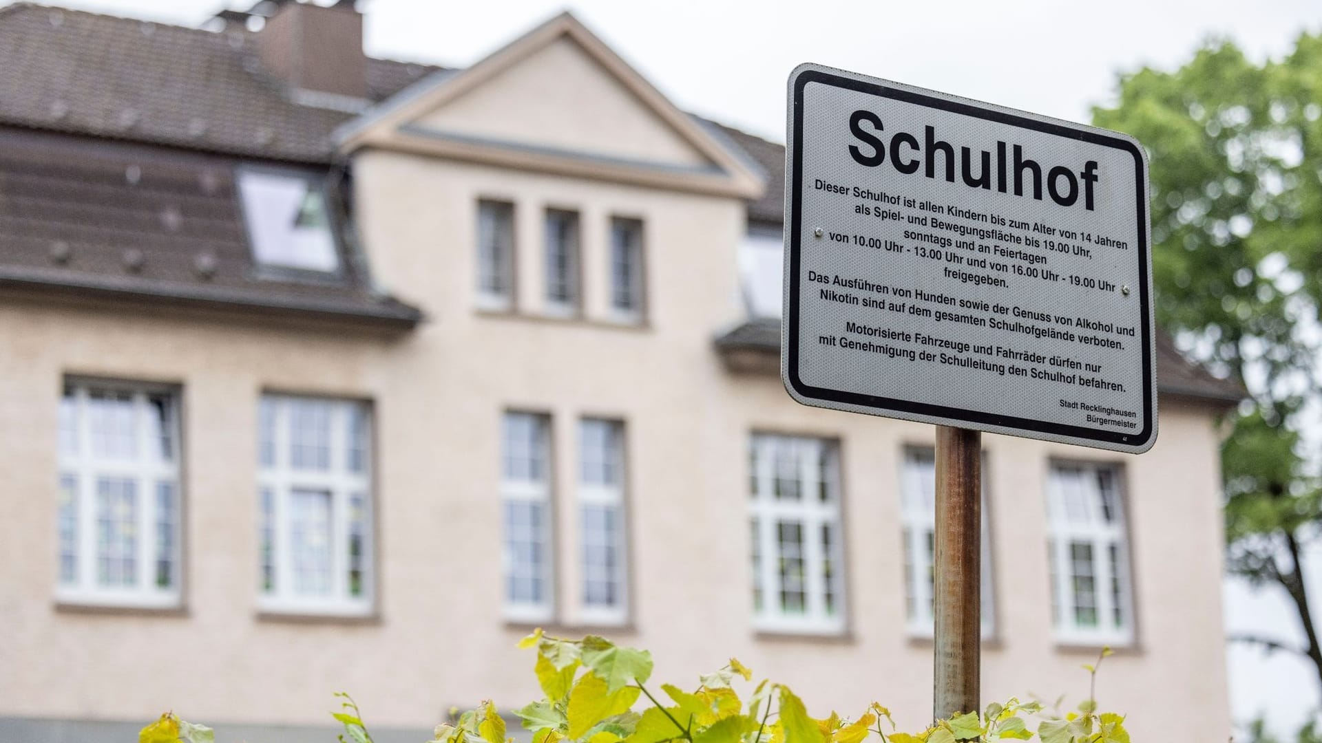 19-Jährige auf Schulhof erdrosselt 19-Jährige auf Schulhof erdrosselt
