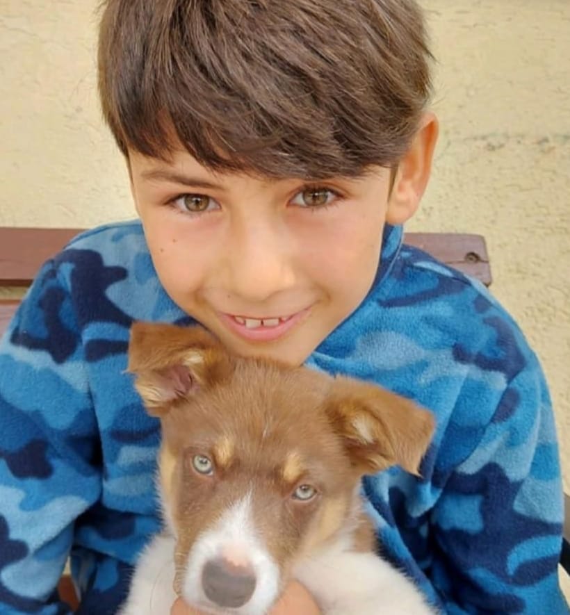 Der zwölfjährige Eitan mit einem Hund: Seine Mutter weiß nicht, ob er noch lebt.